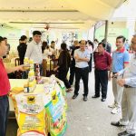 Phát triển cây dừa ĐBSCL theo hướng sinh thái, tuần hoàn và ít phát thải