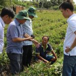 Tham quan và giới thiệu sản phẩm phân bón hữu cơ tại Huyện Giồng Riềng, Tỉnh Kiên Giang