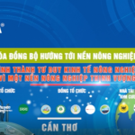 Sự kiện AGRITECHNICA ASIA Live 2022 chủ đề “Cơ giới hóa đồng bộ hướng tới nền nông nghiệp bền vững”