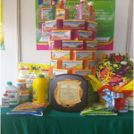 Công ty cổ phần Bình Điền – MeKong tham gia hội chợ khuyến mại 2016