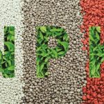 Phân bón NPK là gì?