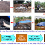 Ủ vỏ cà phê làm phân bón hữu cơ sinh học ở nông hộ