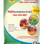 KỸ THUẬT TRỒNG VÀ BÓN PHÂN CÂY ĐU ĐỦ CAO SẢN