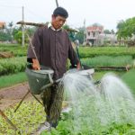 MỘT SỐ LƯU Ý KHI DÙNG PHÂN BÓN LÁ